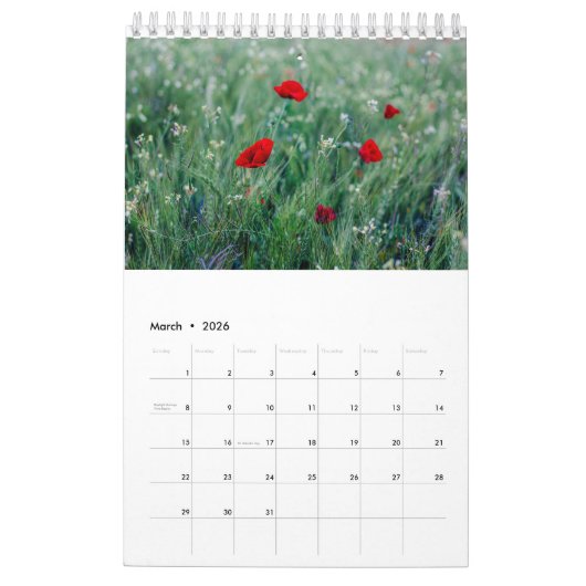 Foto der Mohnfamilie für Großeltern Kalender (Mär 2026)