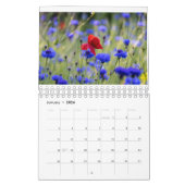 Foto der Mohnfamilie für Großeltern Kalender (Jan 2026)