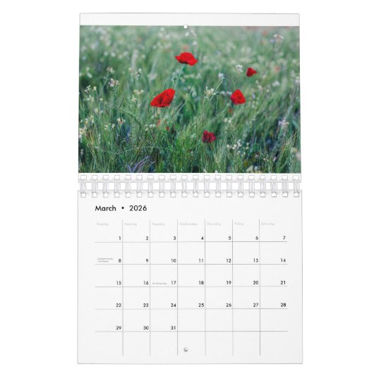 Foto der Mohnfamilie für Großeltern Kalender (Mär 2026)