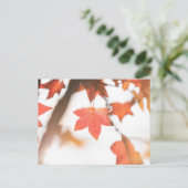 Foto der Natur im Herbst Postkarte (Stehend Vorderseite)