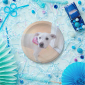 Foto der Niedlichen Sweet White Puppy Face Pappteller (Party)