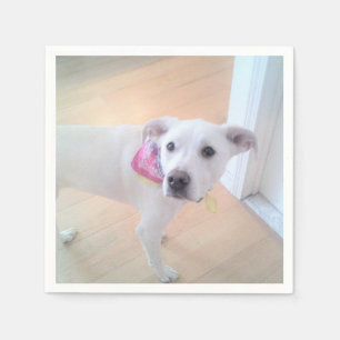 Foto der Niedlichen Sweet White Puppy Face Serviette