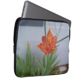 Foto der orangefarbenen BlackBerry Lily mit roten  Laptopschutzhülle (Vorne Rechts)