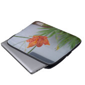 Foto der orangefarbenen BlackBerry Lily mit roten  Laptopschutzhülle (Vorne Knopf)