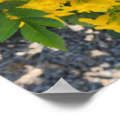 Foto der Paradise-Blume Poster (Ecke)