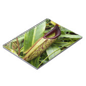 Foto der Pflanze Carnifresser Notizblock (Linke Seite)