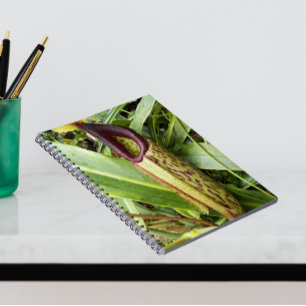 Foto der Pflanze Carnifresser Notizblock