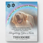 Foto der Rainbow Bridge Fotoplatte (Vorderseite)