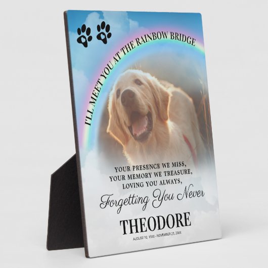 Foto der Rainbow Bridge Fotoplatte (Seite)