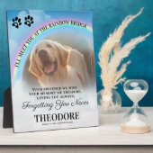 Foto der Rainbow Bridge Fotoplatte (Seite)