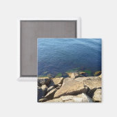 Foto der Rocky Cliff Magnet (Vorderseite/Rückseite)