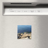 Foto der Rocky Cliff Magnet (In Situ (Geschirrspüler))