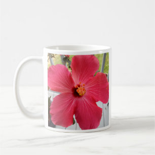 Foto der rosa Blume Lied von Solomon Bibelverse C Kaffeetasse