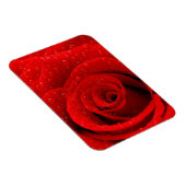 Foto der Rote Rose Hintergrund Magnet (Rechte Seite)