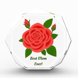 Foto der rote Rose zum Muttertag