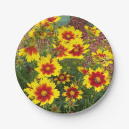 Foto der roten und gelben Coreopsis-Blume auf Pappteller