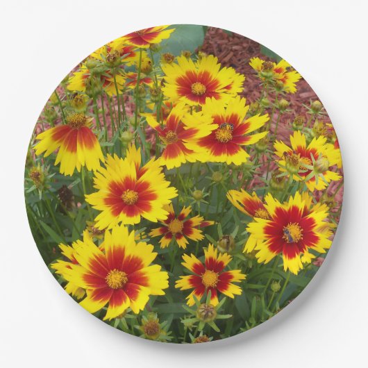 Foto der roten und gelben Coreopsis-Blume auf Pappteller (Vorderseite)