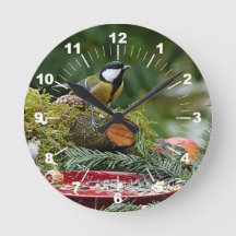 Foto der roten Vogelzucht