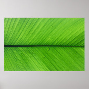 Foto der Schieferfokus Poster