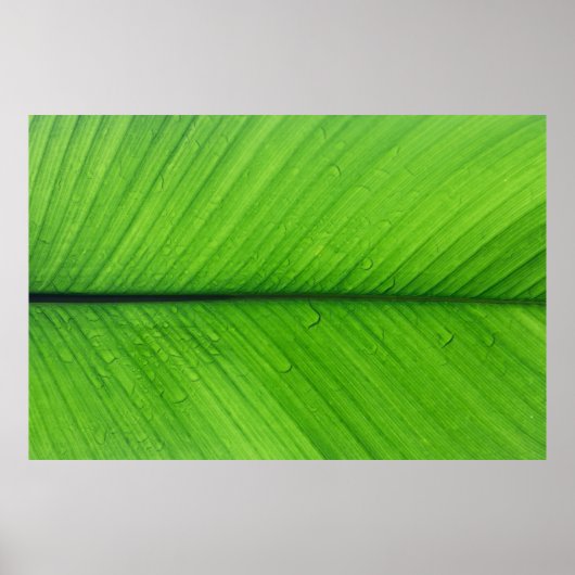 Foto der Schieferfokus Poster (Vorne)