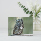 Foto der Sektion "Screech Owl Tree" Postkarte (Stehend Vorderseite)