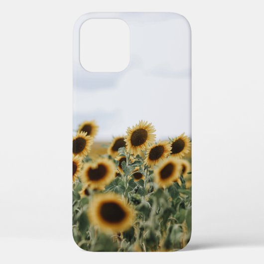 Foto DER SONNENBLUMEN Case-Mate iPhone Hülle (Rückseite)