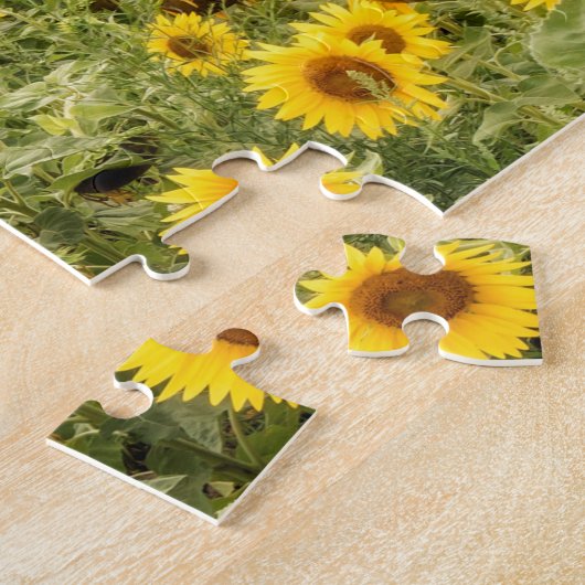 Foto der Sonnenblumen Puzzle (Seite)