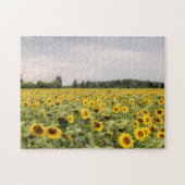Foto der Sonnenblumen Puzzle (Horizontal)