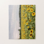 Foto der Sonnenblumen Puzzle (Vertikal)