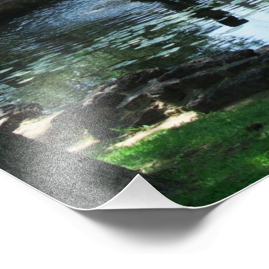 Foto der Teichbrücke (Ecke)