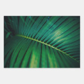 Foto der tropischen Natur mit grünen Blättern Geschenkpapier Set (Vorderseite 3)
