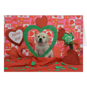 Foto der Twister-Wochen-6