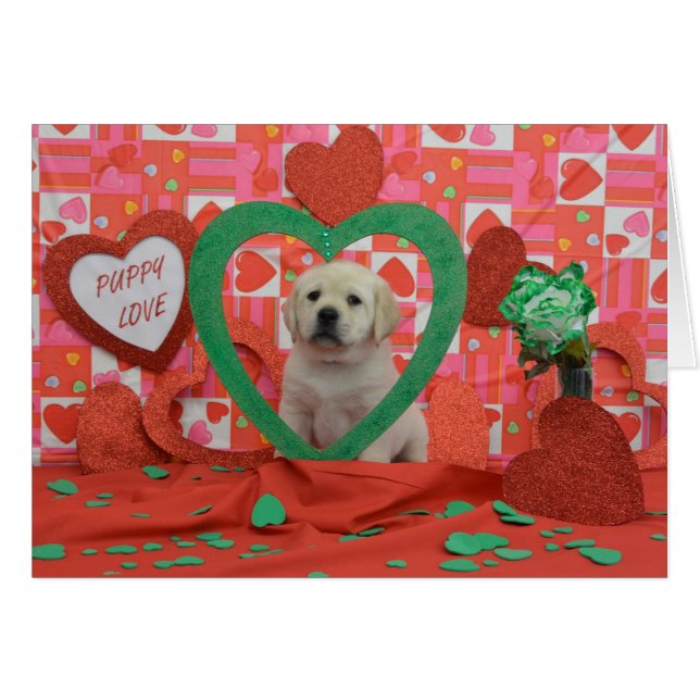 Foto der Twister-Wochen-6 (Vorderseite (Horizontal))