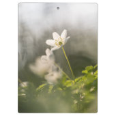 Foto der Weißen Blume Klemmbrett (Rückseite)