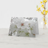 Foto der Weißkirsche Karte (Gelbe Blume)