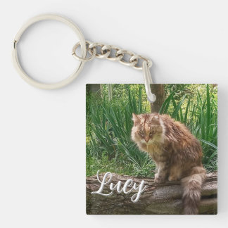 Foto der Wilden Katze / Katzensprung Schlüsselanhänger