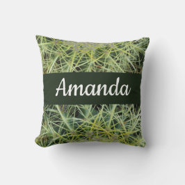 Foto der Wüste im Südwesten des Pflanze Barrel Cac Kissen