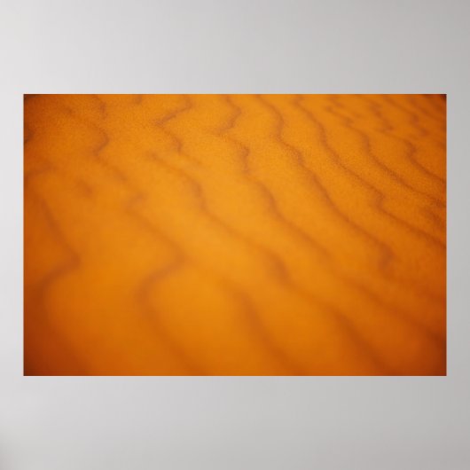 Foto der Wüste Poster (Vorne)