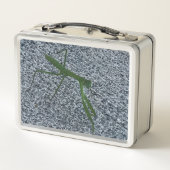 Foto des Betens von Mantis Insekt Lunch Boxen (Rückseite)