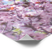 FOTO DES BLOSSOM-BAUMS CHERRY POSTER (Ecke)