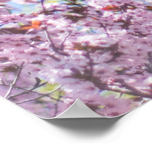 FOTO DES BLOSSOM-BAUMS CHERRY POSTER (Ecke)