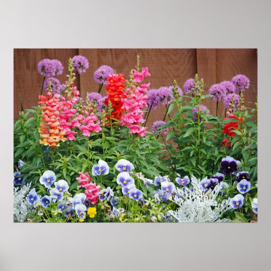 Foto des Blumengartens Poster (Vorne)
