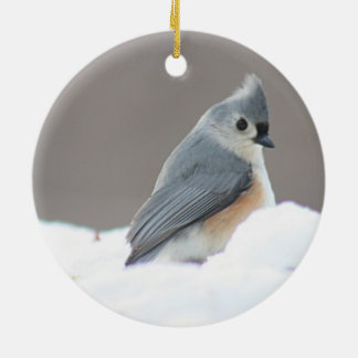 Foto des büscheligen Titmouse Keramikornament