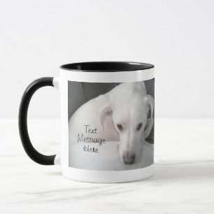 Foto des einzigartigen White Labrador Retriever Mi Tasse