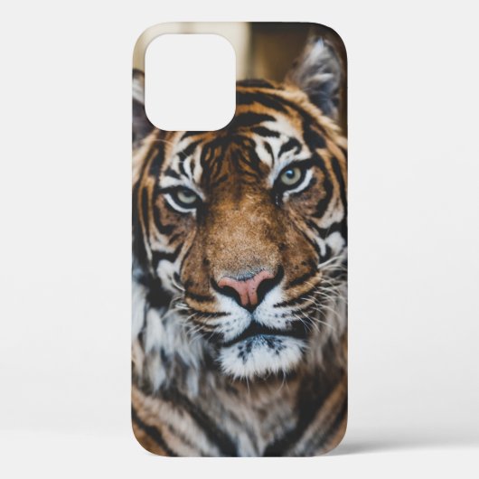 FOTO DES GESICHTS VON TIGER Case-Mate iPhone HÜLLE (Rückseite)