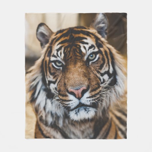 FOTO DES GESICHTS VON TIGER FLEECEDECKE (Vorderseite)
