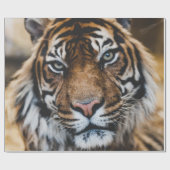 FOTO DES GESICHTS VON TIGER GESCHENKPAPIER (Flach)