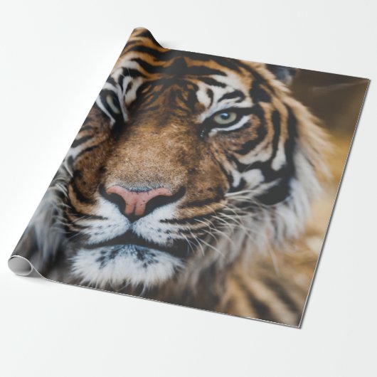 FOTO DES GESICHTS VON TIGER GESCHENKPAPIER (Ungerollt)
