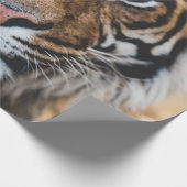 FOTO DES GESICHTS VON TIGER GESCHENKPAPIER (Ecke)