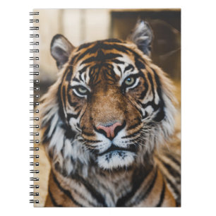 FOTO DES GESICHTS VON TIGER NOTIZBLOCK